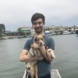 Experienced, kind, patient pet lover! I really enjoy spending time with dogs!