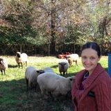 Loving House and Petsitter for Hire