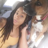 Hi! My name is Da-Shari Lanier Im offering dog walker and pet sitting services Hourly Rate: $13/hr