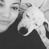 Available: Trustworthy Pet Sitter in El Portal