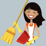Perfectionist Cleaner with 5+ years Experience