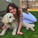 Talented Pet Trainer in Kingston
