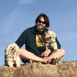 Dog sitter for two small dogs