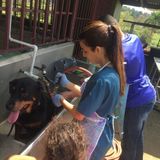 Fort Collins Petsitter Interested In Being Hired in Colorado