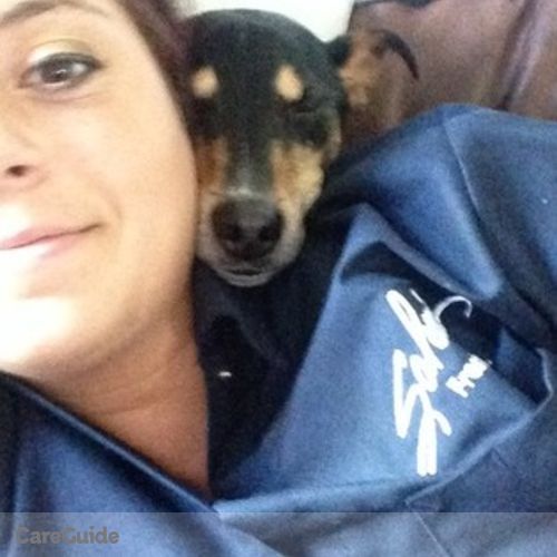 Pet Care Provider Taylor Oneill's Profile Picture