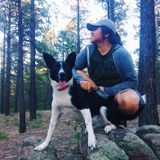 Searching for a Petsitter Job in Albuquerque, New Mexico