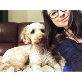 Qualified Dog Walker in Fitchburg, Massachusetts