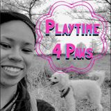 The paw-fect pet sitter!