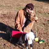 Seasoned and Loving care taker for homes, pets, children (including special needs) and eldery