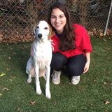 Seeking an Animal Lover Opportunity in Annapolis