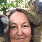 Dependable and fastidious housesitter