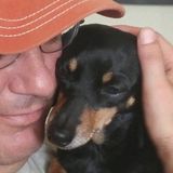 I have, over the last 30+ years, trained and found respective homes for animals of, almost, all furry kinds with zero payback