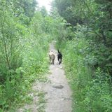Trail Talez