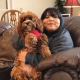 For Hire: Honest Dog Walker in Waynesville, North Carolina