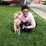 Energetic woman to help with Dog Walking, boarding pets.