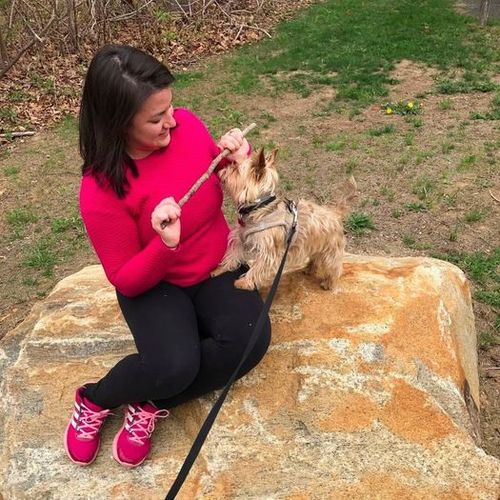 Pet Care Provider Adriana V's Profile Picture