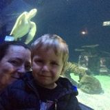 Experienced, caring reliable nanny