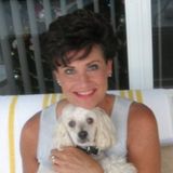 Professional, mature pet walker and sitter available immediately.