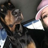 Weekend or Evening Dog Walker or Sitter