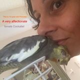 Pet/ Home/Family Services Available In Barrie Simcoe Region