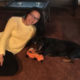 W. Babylon or Local Pet Walker and Sitter: Quick Responses, Trustworthy, and Animal Passionate!