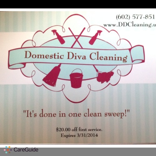Housekeeper Provider Domestic Diva Cleaning's Profile Picture