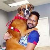 Looking For Webster Pet Carer, Texas Jobs