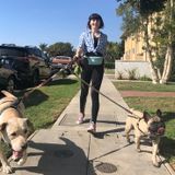 Dog Jog, your local dog walkers!