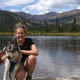South Boulder Dog Sitter.