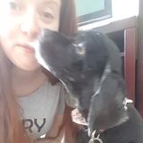 Experience Pet Care with added TLC