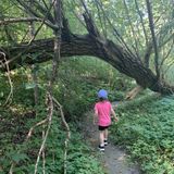 Join my Village! - Seeking Afternoon Nanny in Lorne Park for 2.5 yr old girl