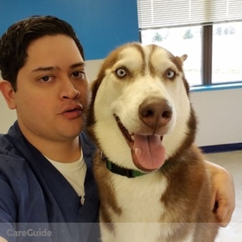 Pet Care Provider David Caceres's Profile Picture