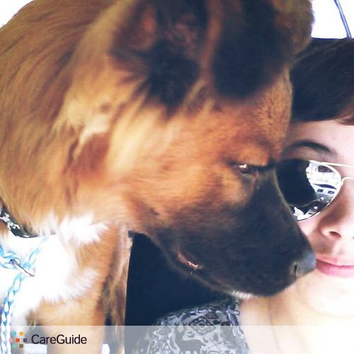 Pet Care Provider Shelby M's Profile Picture