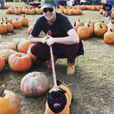 Available For a Pet Carer Job in New York, New York