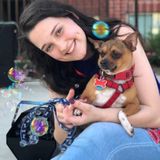 An Energetic Tulsa Sitter With Flexible Hours!