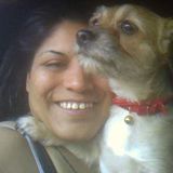 House, pet & plant sitter for hire