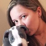 New Port Richey Pet Care Provider Searching for Work