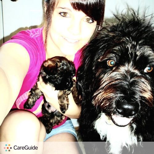 Pet Care Provider Amy Bryan's Profile Picture