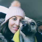 Caring House Sitter in Montreal, Quebec