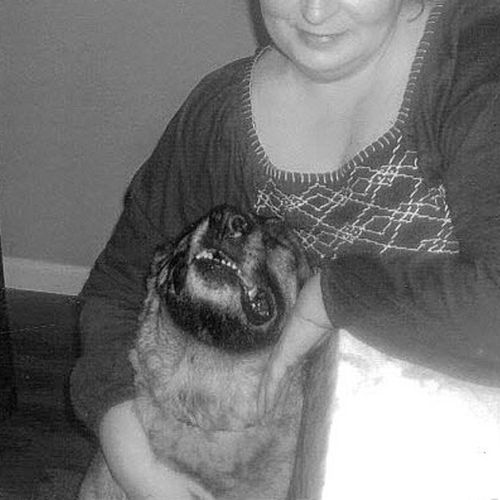 House Sitter Provider Sharon Walsh's Profile Picture
