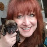 For Hire: tbozko Hard Working Pet Sitter in Hamilton