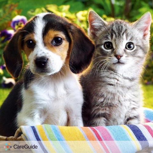 Pet Care Provider mackenzie p's Profile Picture
