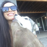 Hard Working Pet Trainer for Hire