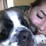 Experienced pet care provider and an avid animal lover.
