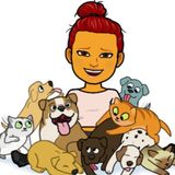 Animal Lover on St Thomas Looking For Job Opportunities