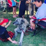 Pet Sitting and Light Dog Walking Offered in Westerville