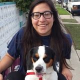 Honest Dog Sitter in Montebello
