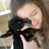 Hire me! Certified dog lover with a flexible schedule!
