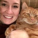 Pet-Sitter/Dog Walker looking for Opportunities in the Portland Area