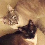 Loving caregiver for two sweet siblings